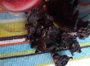 Jamaica or Hibiscus Flower