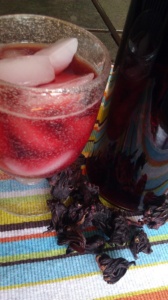 Roselle Water Hibiscus Sabdariffa Agua de Jamaica