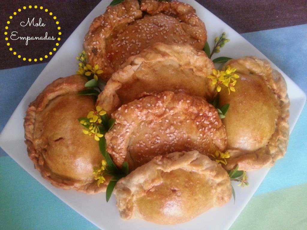 Mole Empanadas #ABRecipes