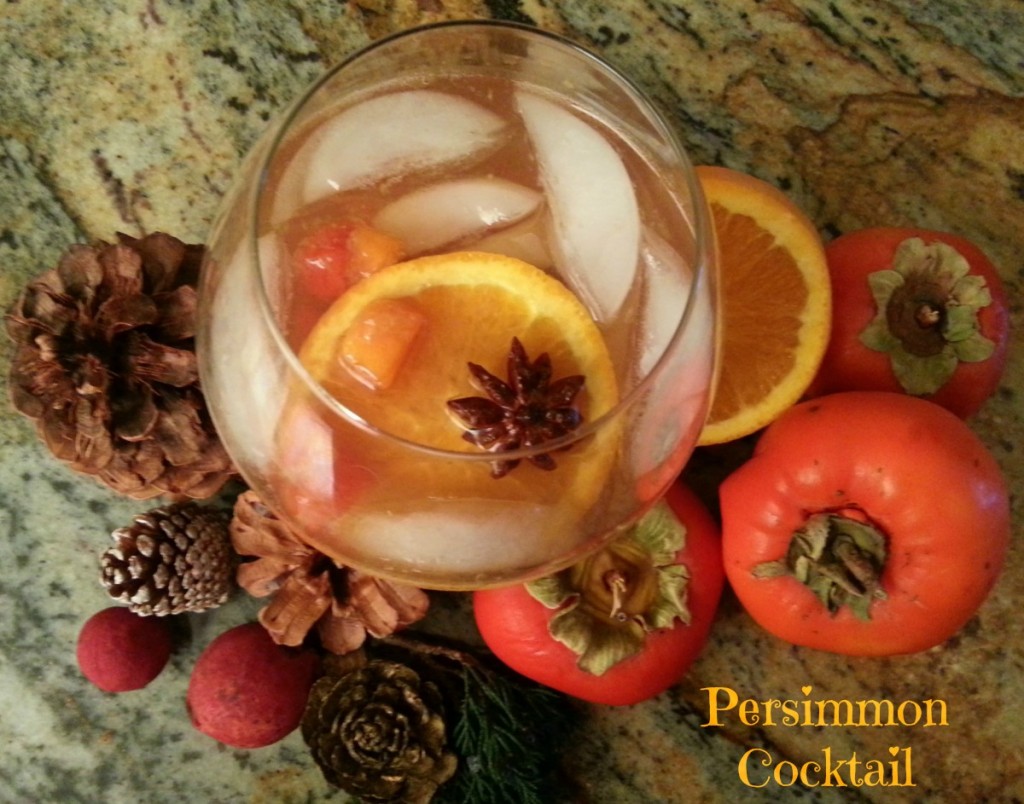 Persimmon Cocktail #ABRecipes