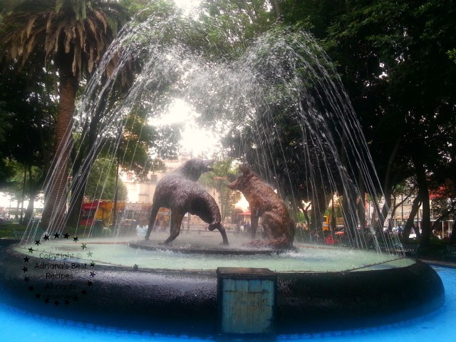 Fuente de los Coyotes in Coyoacan