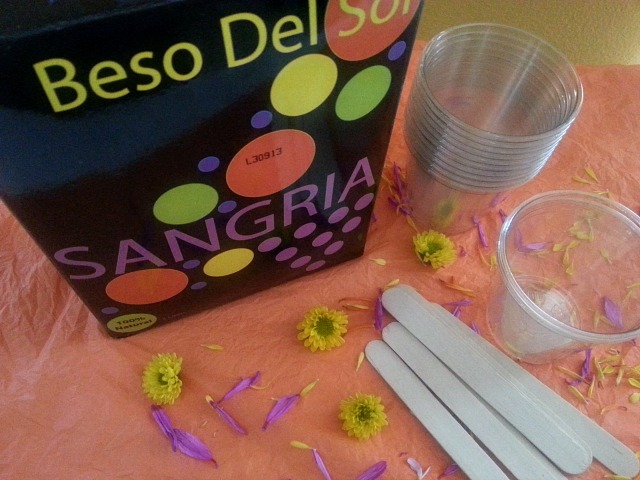 Ingredients to prepare the Sangria Ice Pops #BesoDelSol
