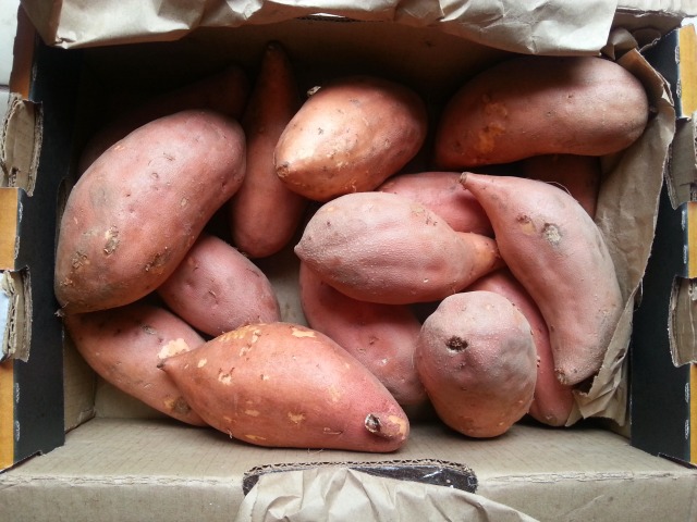 Fresh sweet potatoes