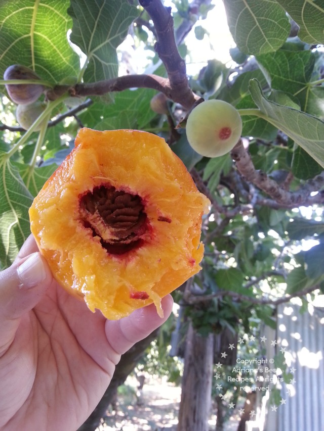 Elberta peach, juicy, sweet and the best bite of the day! #TASTE14
