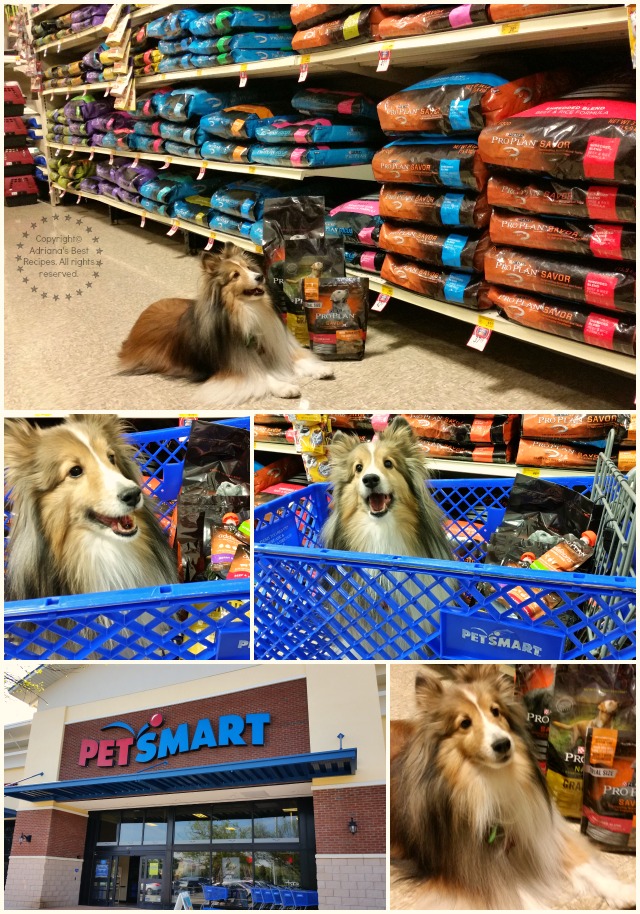 Bella shopping for Purina Pro Plan at PetSmart #ProPlanPet #ad