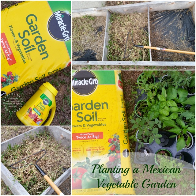 Planting a Mexican Vegetable Garden #MiJardinalidad #ad