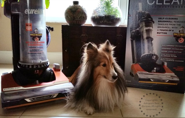 Bella our Sheltie one of our hairy babies #CleaningUntangled #ad