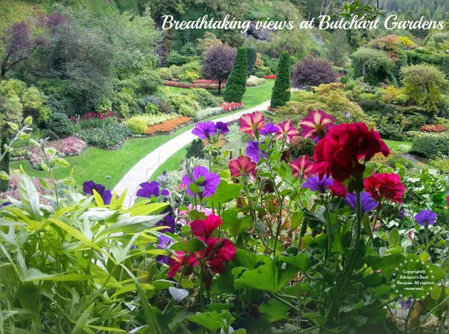 Breathtaking Views at Butchart Gardens  #MobileMemories #ad
