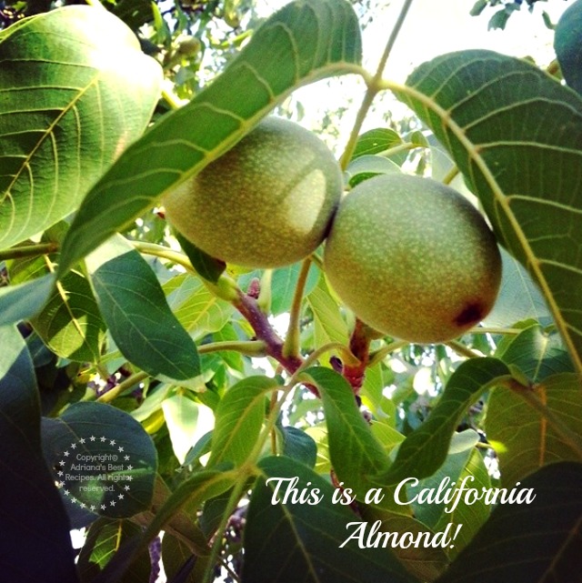 This is a California Almond #TASTE14