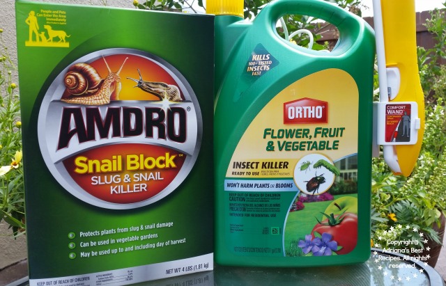I am preventing bugs on my vegetable garden using the right products #MiJardinalidad #ad