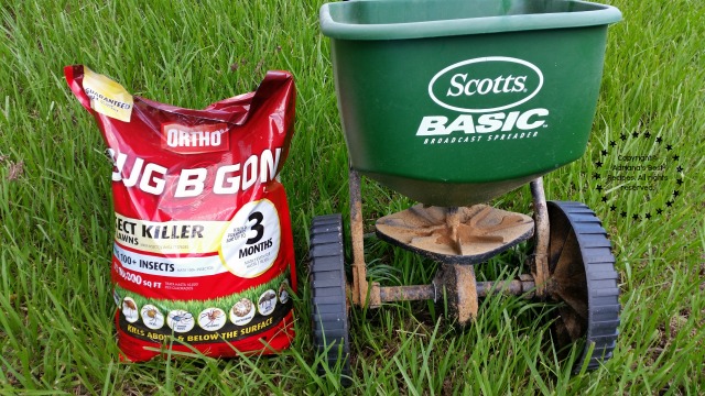 My husband is the one that does the job he uses a spreader and that does the trick #MiJardinalidad #ad My husband is the one that does the job he uses a spreader and that does the trick #MiJardinalidad #ad