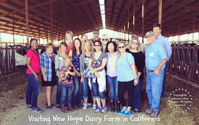 Visiting New Hope Dairy in California #TASTE15