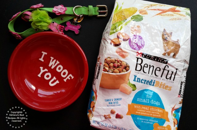 Beneful believes in variety health and flavor for dogs #AmorBeneful #ad 