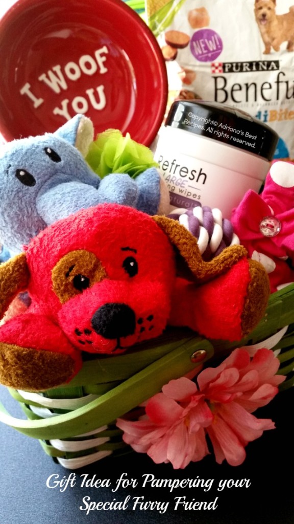 Gift idea for pampering your special furry friend #AmorBeneful #ad 