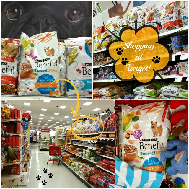 Shopping at Target for my furry friend #AmorBeneful #ad 