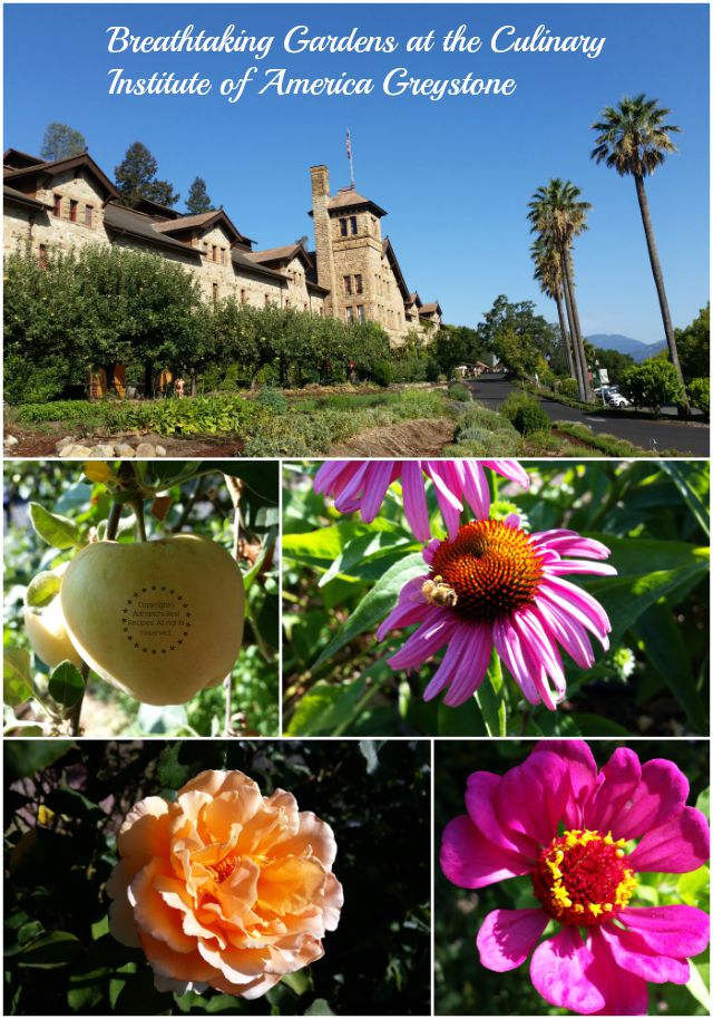 Breathtaking gardens at the Culinary Institute of America at Greystone #LittleChanges