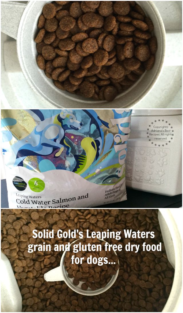 Solid Golds Leaping Waters grain and gluten free dry food for dogs #SolidGoldPets #FoodForFreeSpirits #ad 