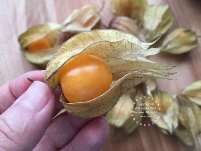 Discovering Gooseberries #ABRecipes