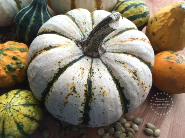 Pumpkins #TeamFreshSummit #ad Pumpkins #TeamFreshSummit #ad