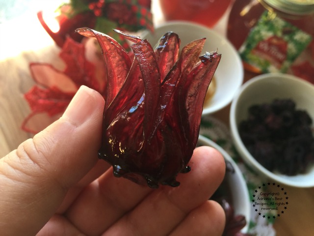 A hand holding a hibiscus flower