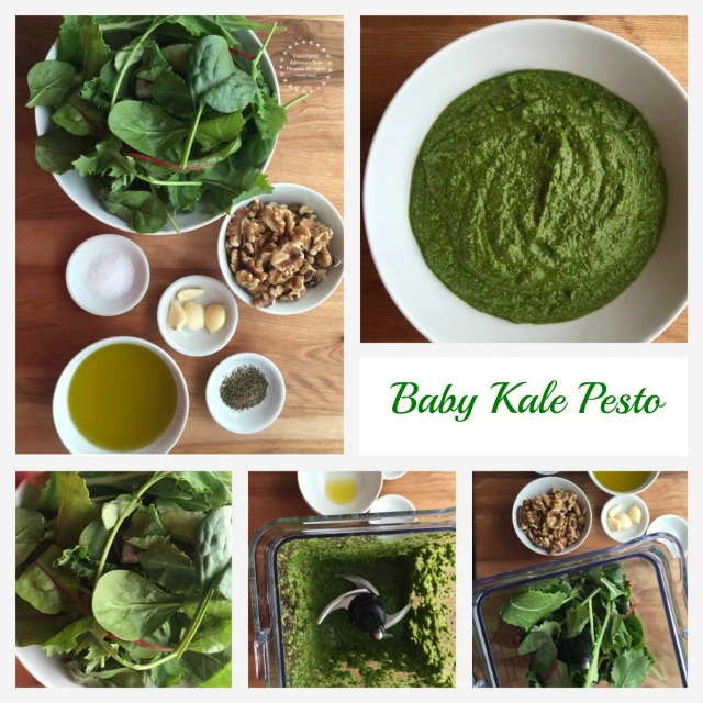 Baby Kale Pesto Ingredients and Process