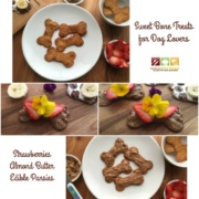 Sweet Bone Treats for Dog Lovers