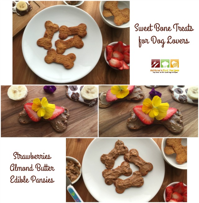 Sweet Bone Treats for Dog Lovers