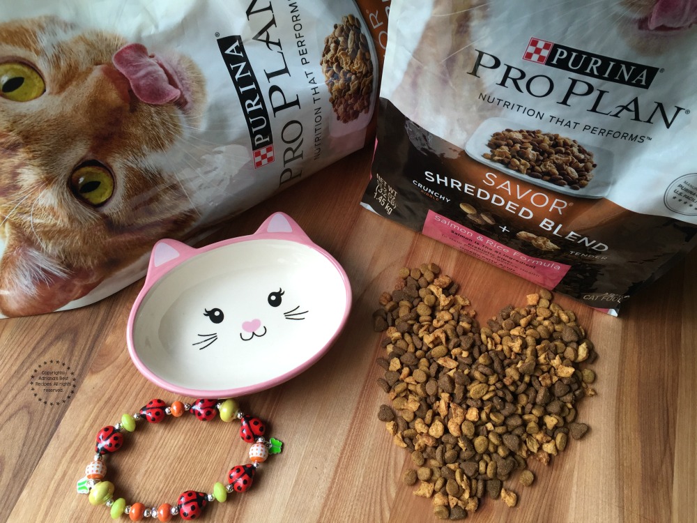 Pampering my kitty with Purina® Pro Plan® Savor® Shredded Blend