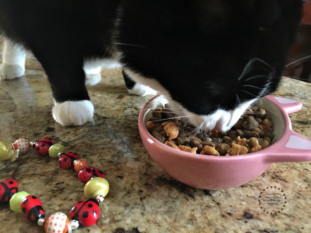 Tatiana loves the taste of the Purina® Pro Plan® Savor® Shredded Blend