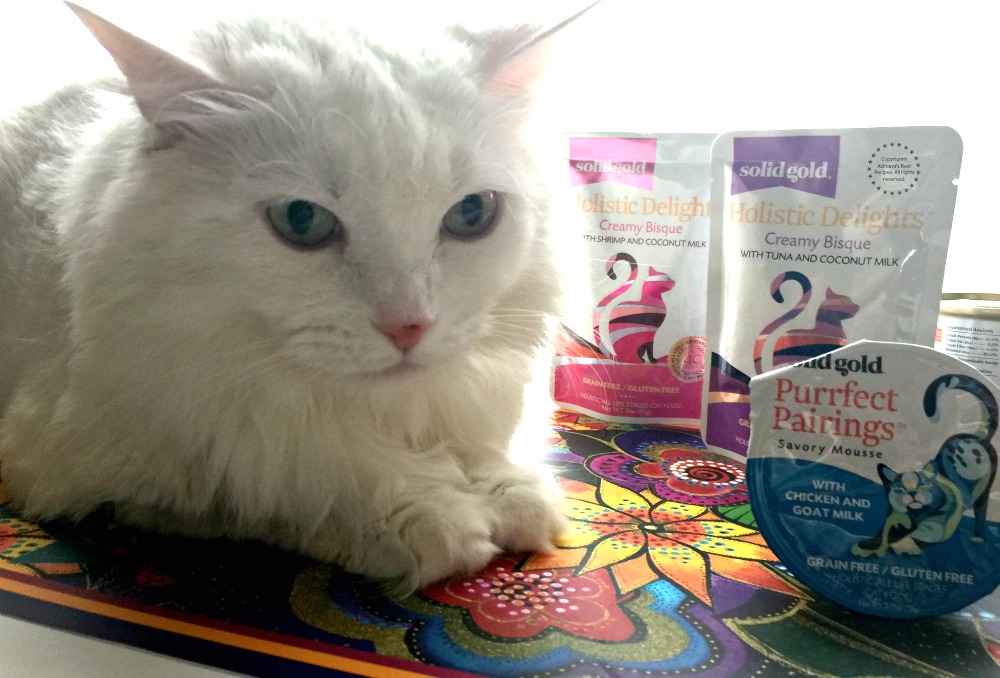 Visit Solid Gold and learn more about the complete line of cat food Visit Solid Gold and learn more about the complete line of cat food