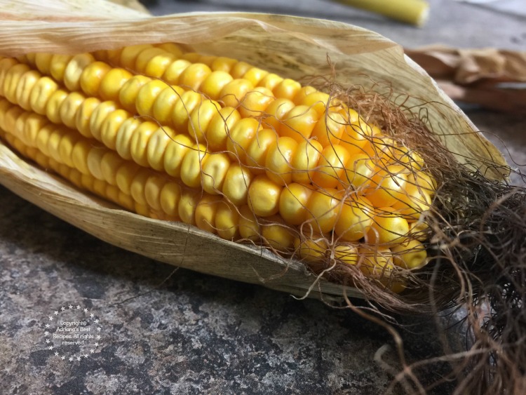 Corn intended for cattle feed