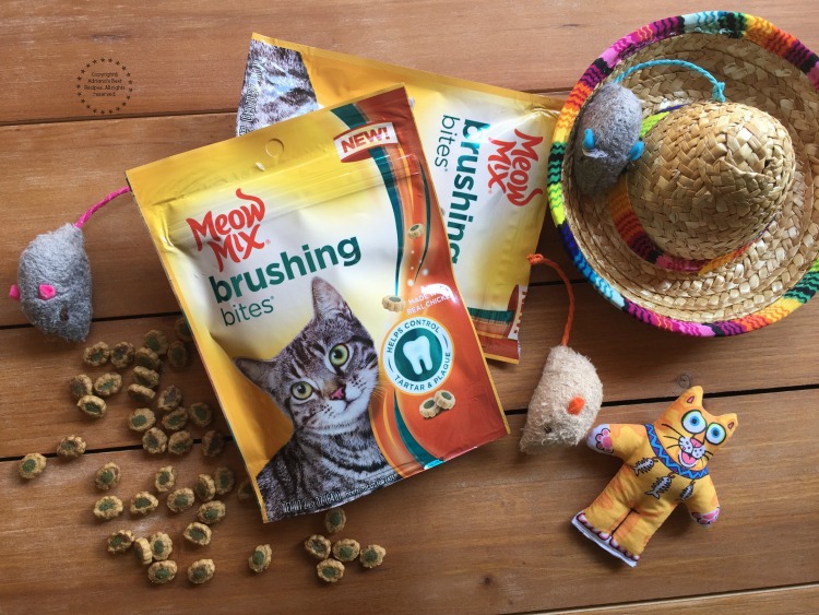 New Meow Mix Brushing Bites made with real chicken or salmon for a delicious taste