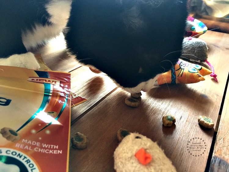 A Tatiana le encantaron los nuevos New Meow Mix Brushing Bites hechos con pollo A Tatiana le encantaron los nuevos New Meow Mix Brushing Bites hechos con pollo
