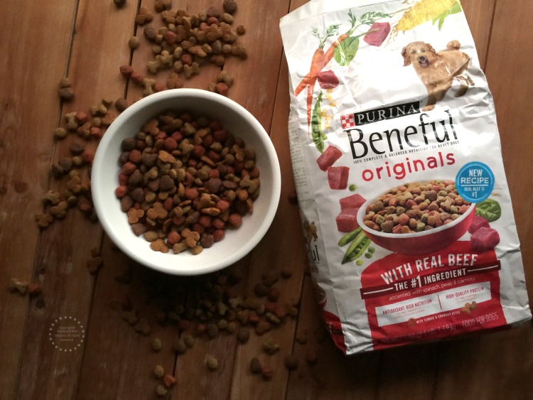 Beneful has a new recipe that features meat as the #1 ingredient