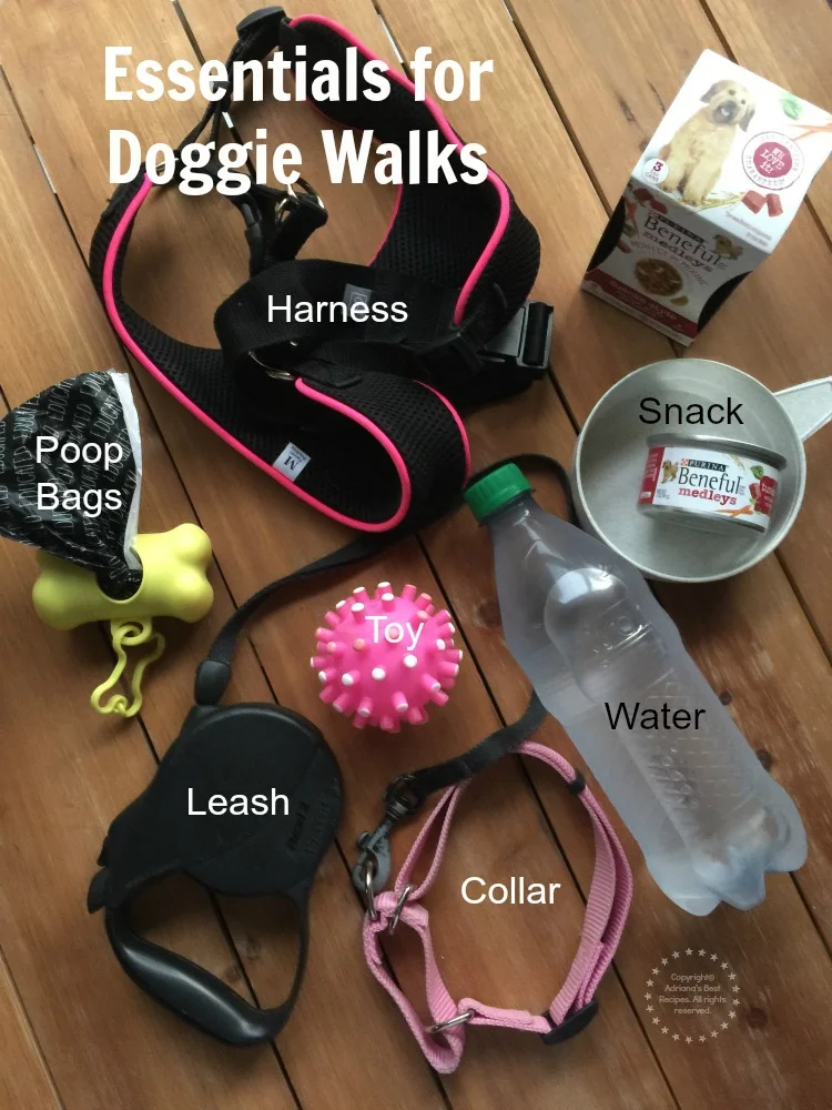 Essentials for Doggie Walks
