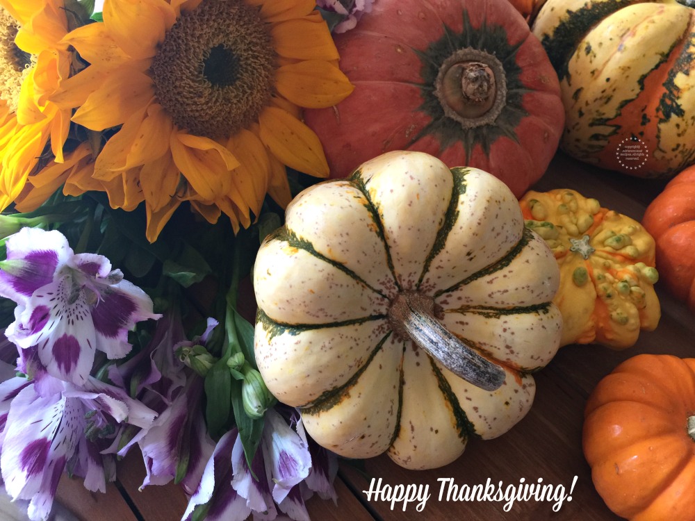 Happy Thanksgiving from my Kitchen to Yours