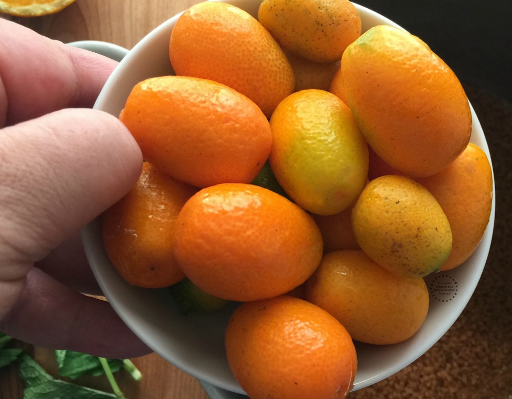Kumquats frescos de la Florida