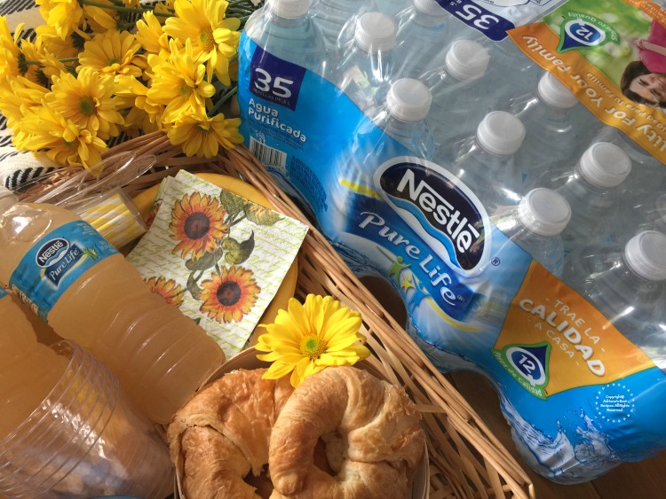 Nestlé Pure Life es la perfecta adición a los picnics en familia