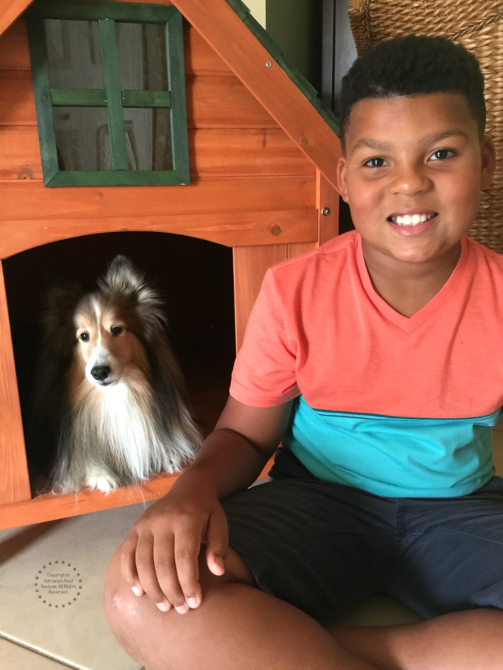 Our grandson proud contributor to building the best dog house and our client