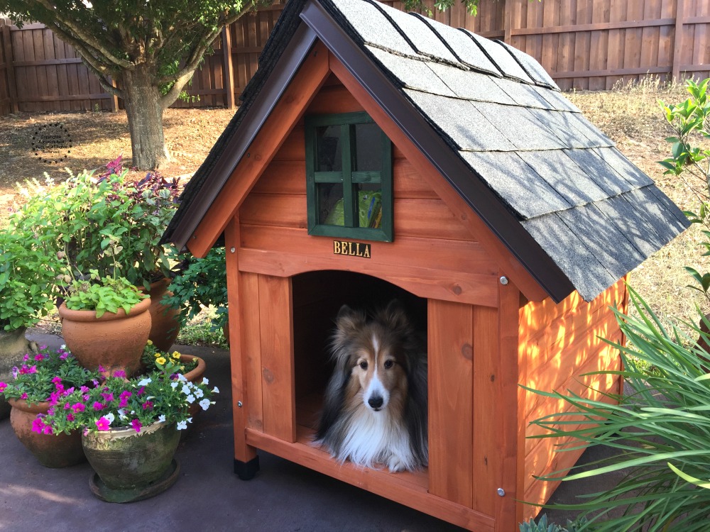 Una linda casa perruna para la mejor perrita del mundo nuestra Bella hermosa perrita Shetie.
