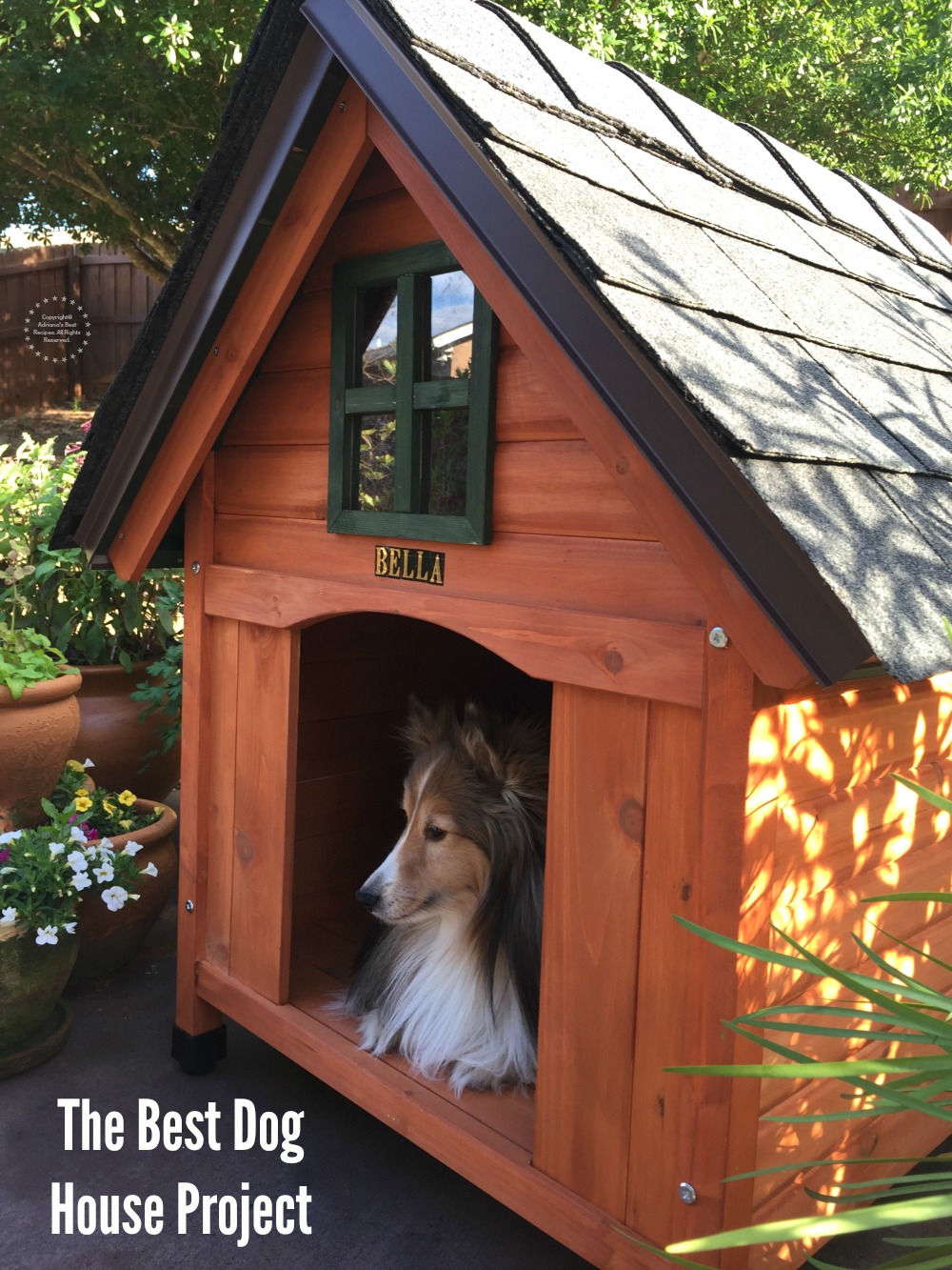 Una linda casita perruna construida con materiales de alta calidad y perfecta para completar el jardín como un elemento decorativo. 