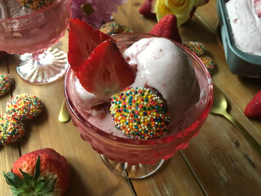 Nothing is better than a Homemade Fresh Strawberry Milk Ice Cream Nothing is better than a Homemade Fresh Strawberry Milk Ice Cream