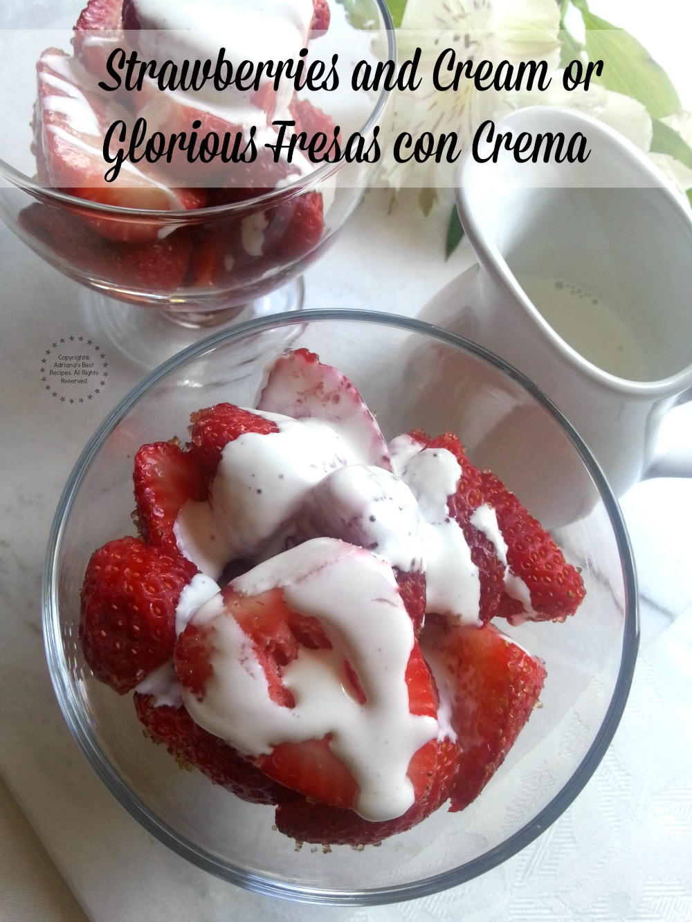 Fresas con Crema hechas con Fresas Frescas de la Huerta