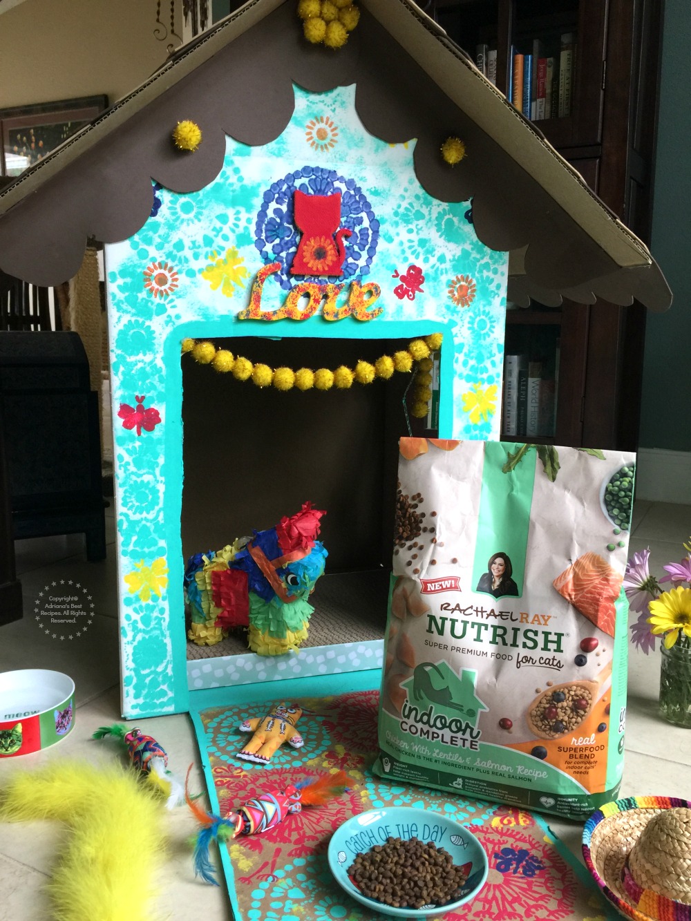 A fun DIY for an indoor cat playhouse