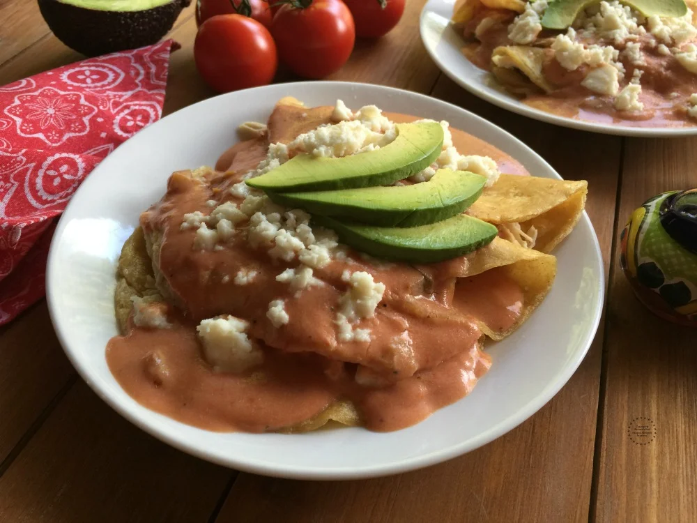 Creamy Tomato Enchiladas Creamy Tomato Enchiladas