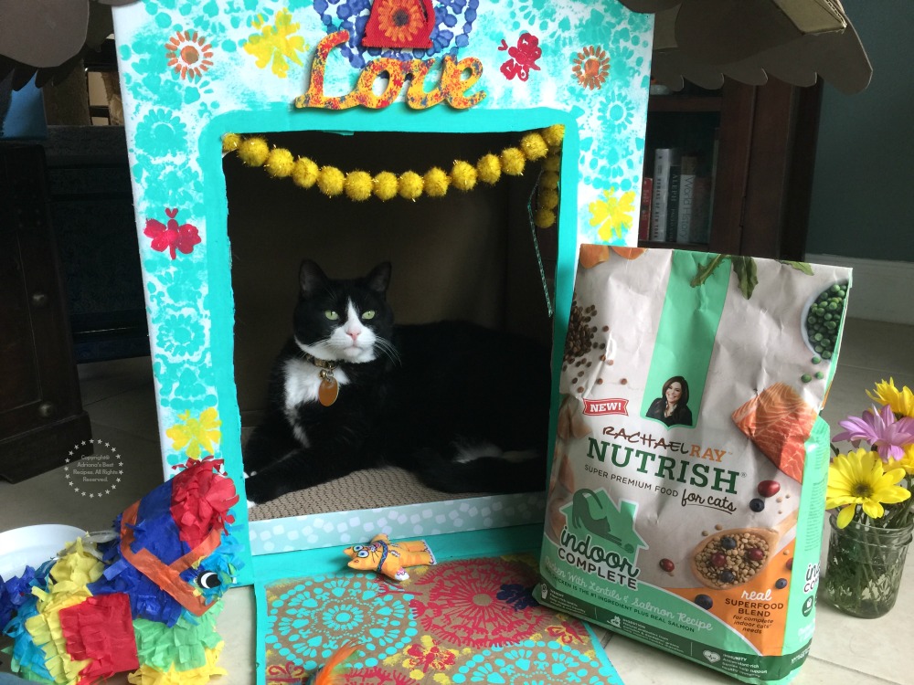 Casita Gatuna para los Felinos Consentidos de la Casa