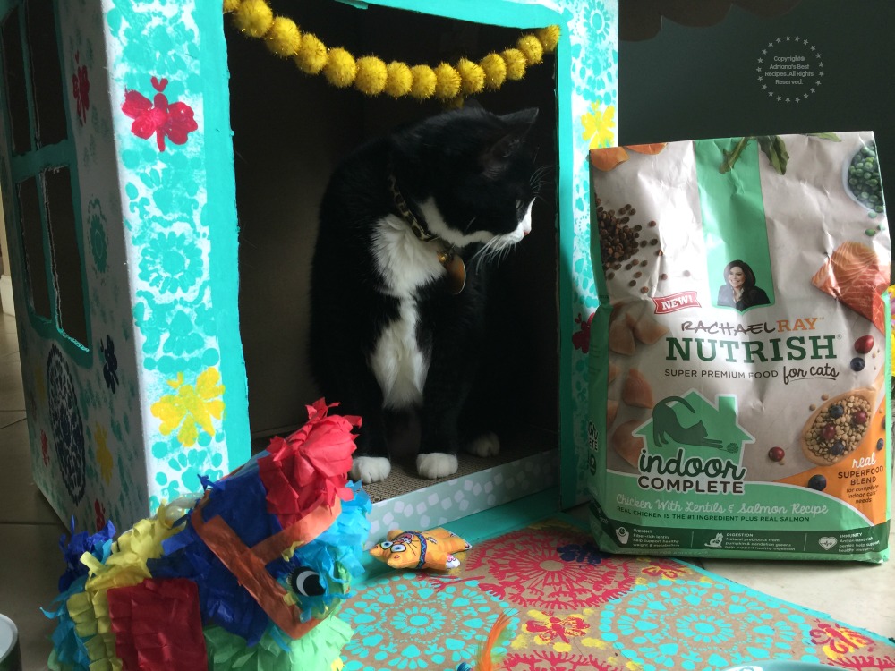 Nutrish Indoor Complete, formulado con una mezcla de super alimentos para complementar la nutrición de los gatos adultos que viven dentro de la casa