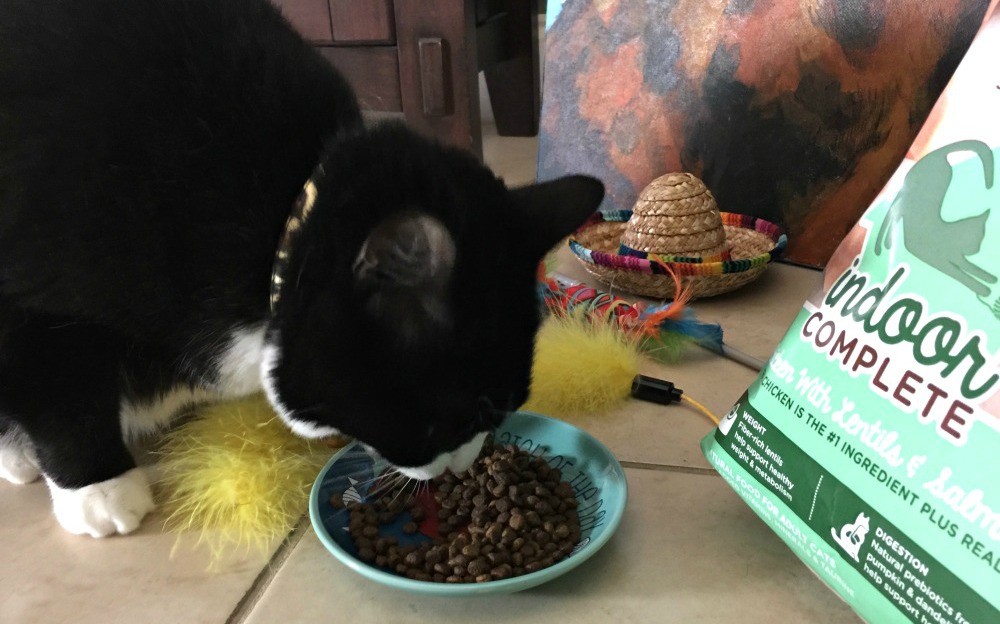 Tatiana disfrutando de su nueva comida y de su casita gatuna