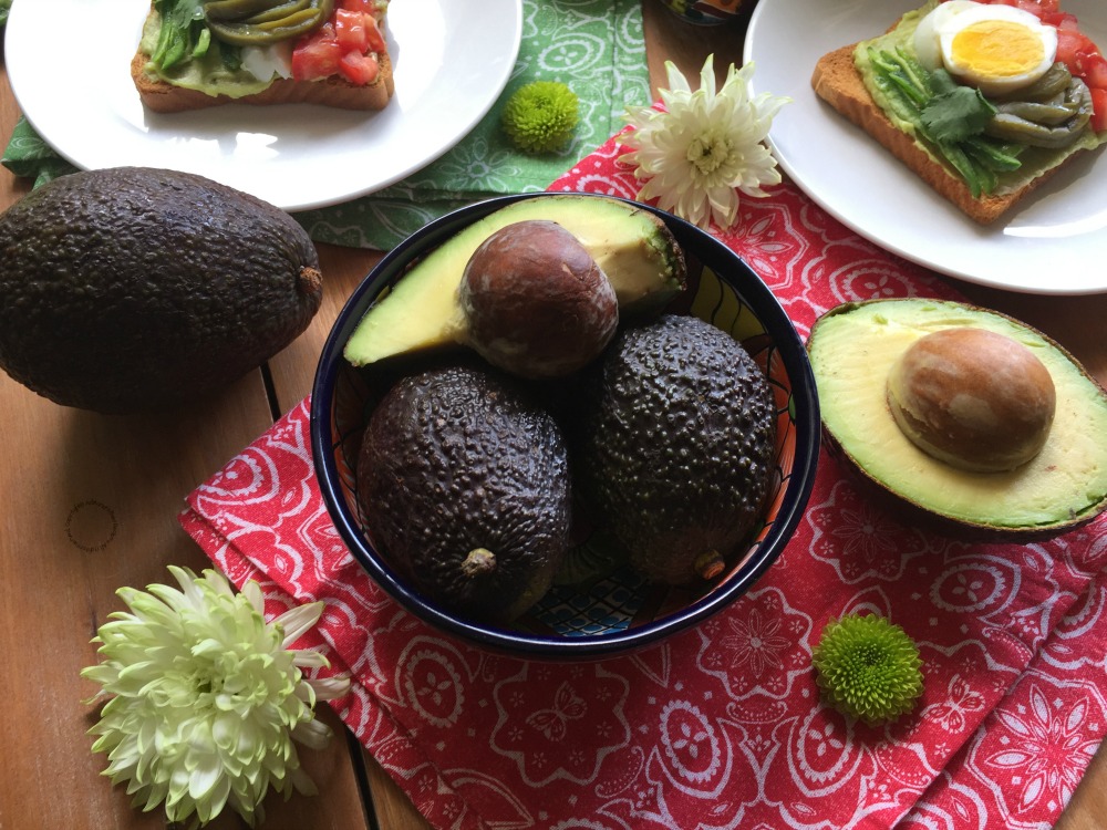 a bowl with fresh avocado hass part of a food trend that started in 2016