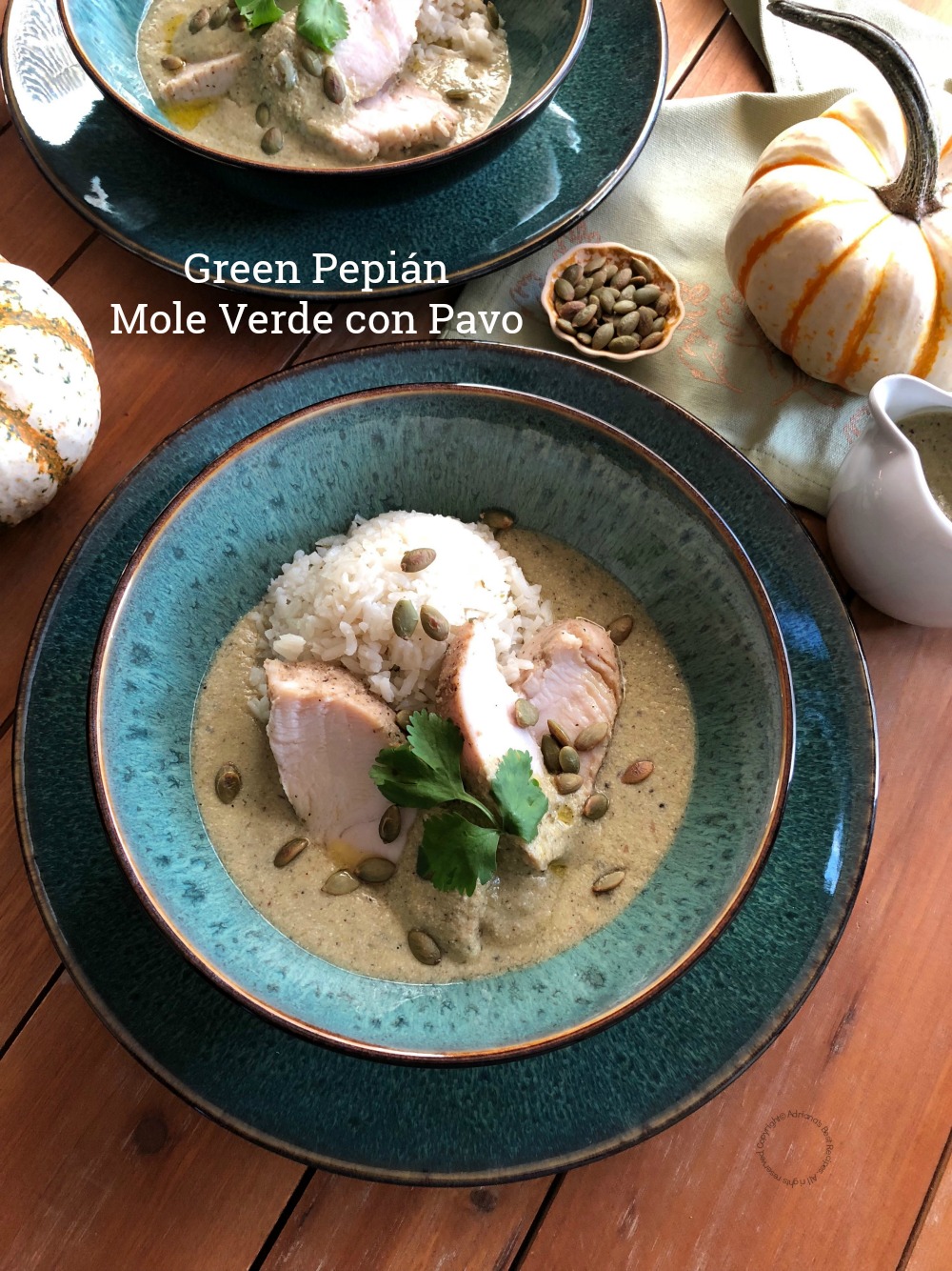 Green pepian or also called mole verde a classic Mexican dish